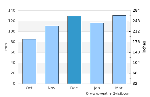 Warren average rain in December