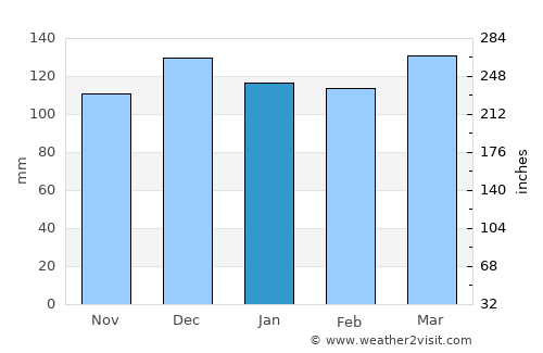 Warren average rain in January