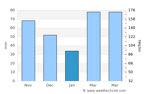 Warrensburg average rain in January