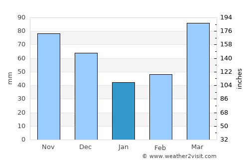 Warrenton average rain in January