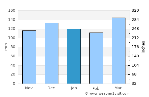 Wartburg average rain in January