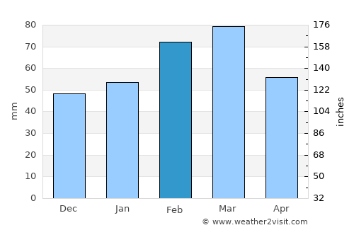 Wauchula average rain in February
