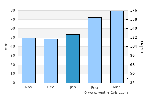 Wauchula average rain in January