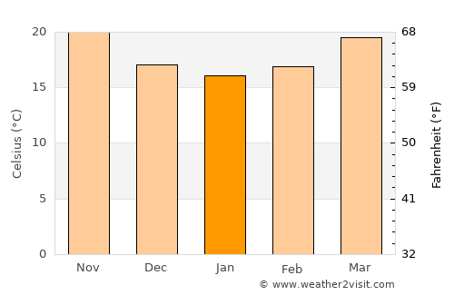Wauchula average temperature in January