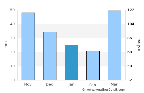 Wausau average rain in January