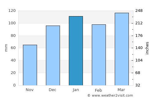 Waycross average rain in January
