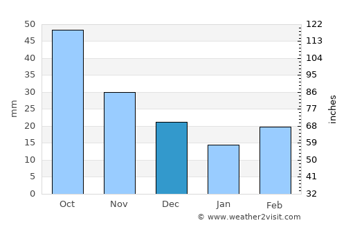 Wayne average rain in December