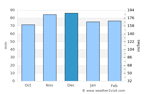 Wayne average rain in December