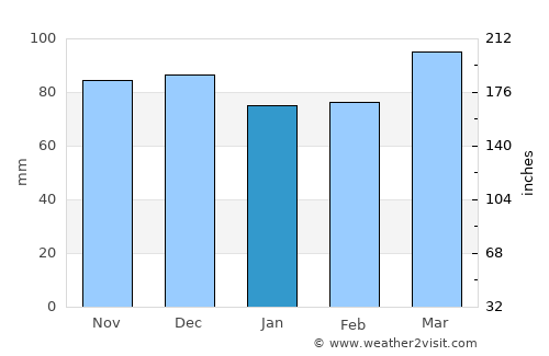 Wayne average rain in January