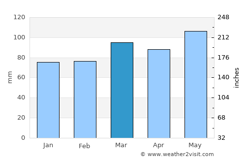 Wayne average rain in March