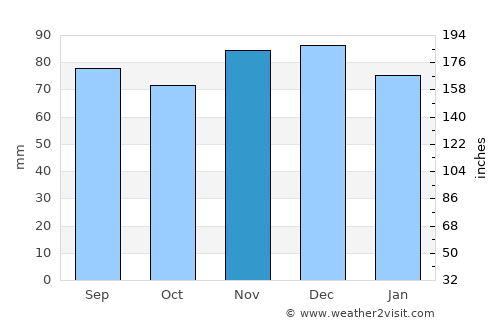 Wayne average rain in November