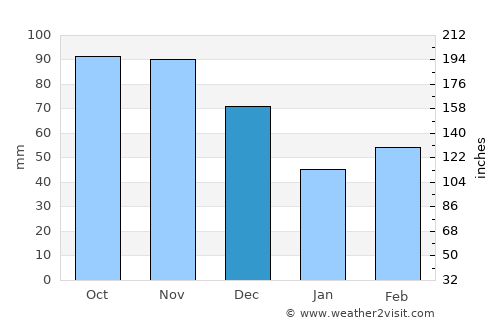 Waynesville average rain in December