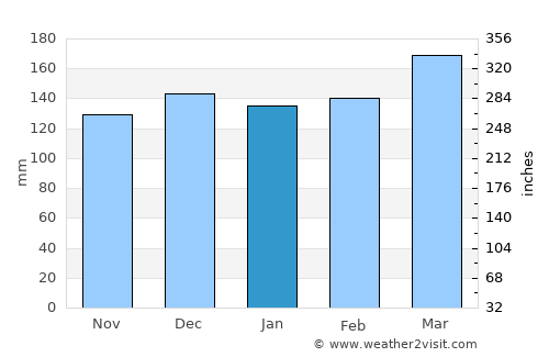 Waynesville average rain in January