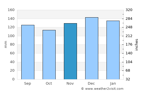 Waynesville average rain in November