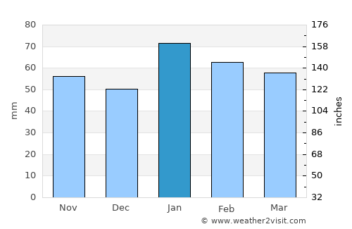 Wellington average rain in January