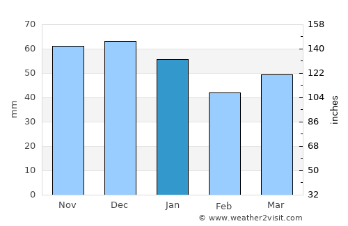 Wellington average rain in January
