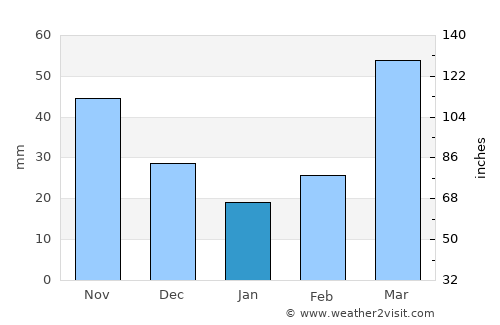 Wellington average rain in January