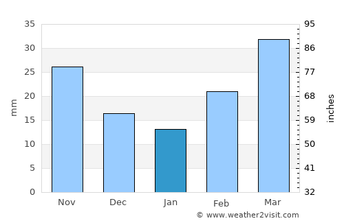 Wellington average rain in January