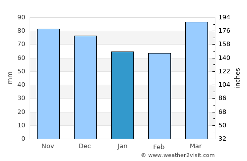 Wellsburg average rain in January