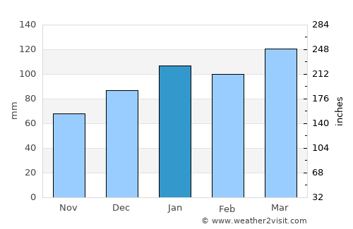 West Columbia average rain in January