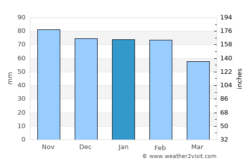 Wharton average rain in January