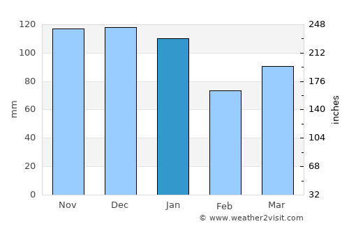 Whitefield average rain in January