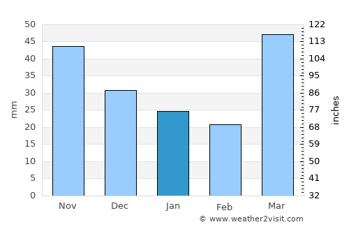 Whitehall average rain in January