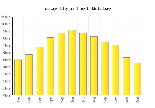 Whitesburg average daily sunshine chart