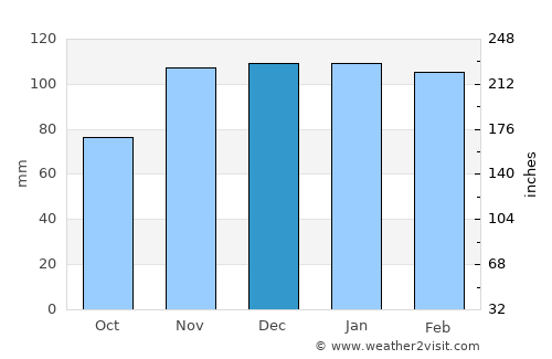 Williamsburg average rain in December