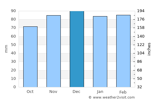 Williamson average rain in December