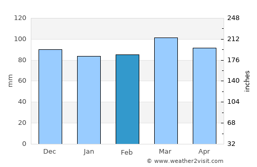 Williamson average rain in February
