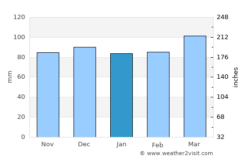 Williamson average rain in January