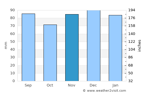 Williamson average rain in November