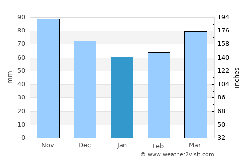 Williamsport average rain in January