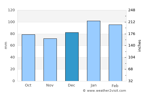 Williamston average rain in December