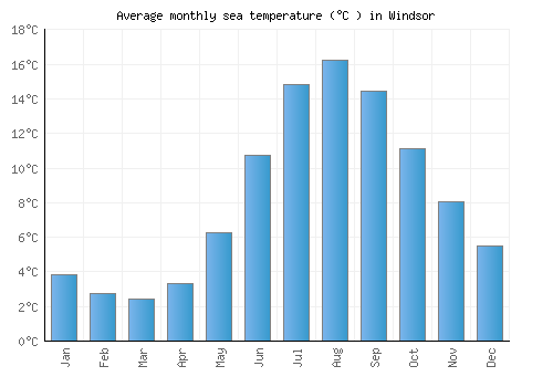 Windsor average sea temperature chart (Celsius)