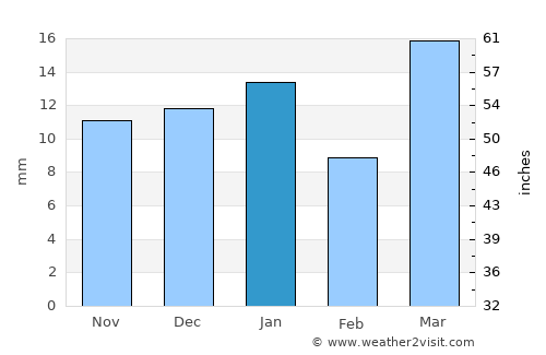 Winnett average rain in January