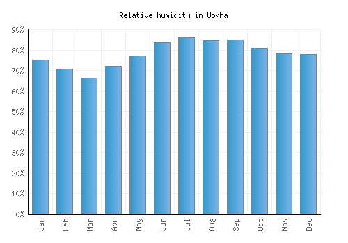 Wokha relative humidity averages