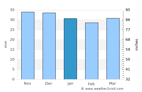 Wolfen average rain in January
