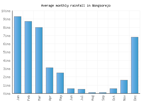 Wongsorejo monthly rainfall chart (inches)