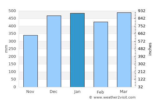 Wonosobo average rain in January