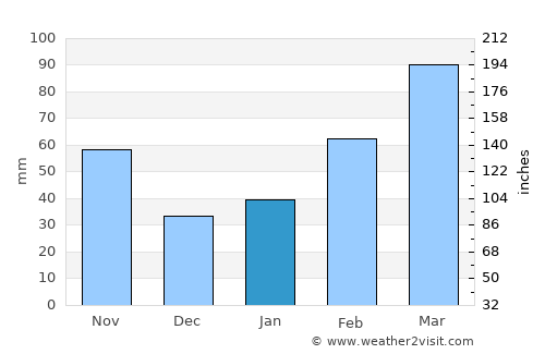 Wuhu average rain in January