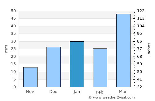 Yangi-Nishon Shahri average rain in January