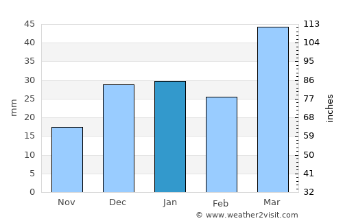 Yangirabot average rain in January