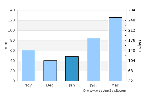Yangong average rain in January