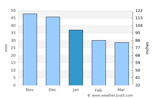 Yegor’yevsk average rain in January