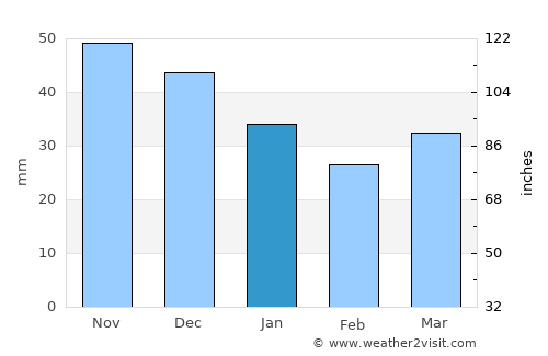 Yel’nya average rain in January