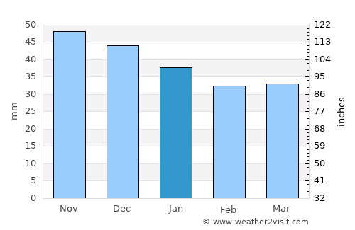 Yel’sk average rain in January