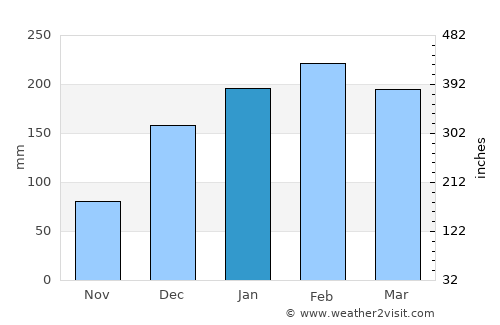 Yeppoon average rain in January