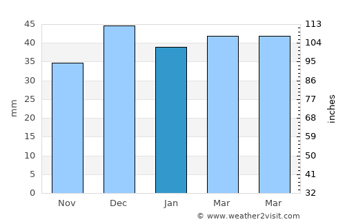 Yeşilhisar average rain in January